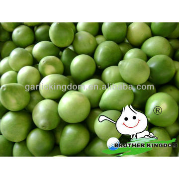 Pomelo supplier,Fujian honey pomelo,pomelo price